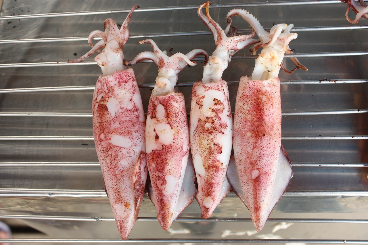 ヤリイカ釣り で使う鳥のササミの塩〆方法